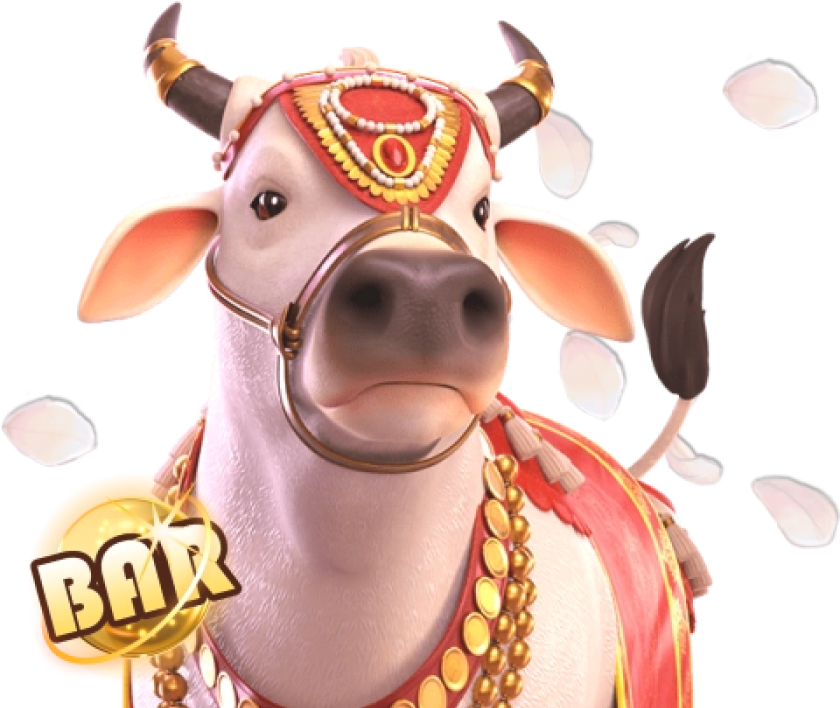 NATIONAL Casino कैसीनो बोनस NationalCasino कैसीनो बोनस